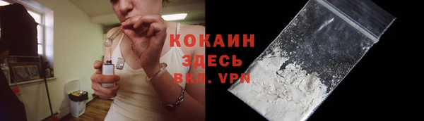 шишки Абинск