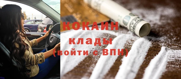 шишки Абинск